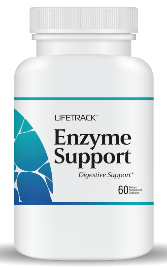 Enzyme Support